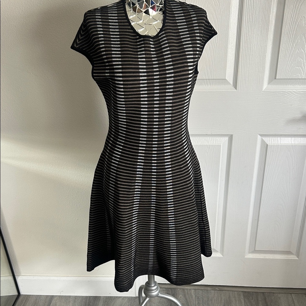 Adolfo Dominguez Black and Gray Striped Mini Dress